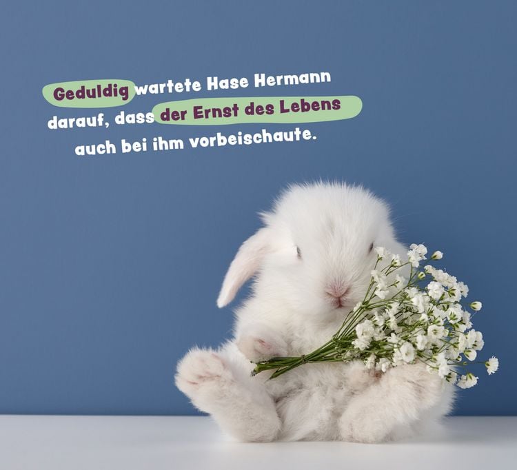 Produktbild: Tierisch gechillt!