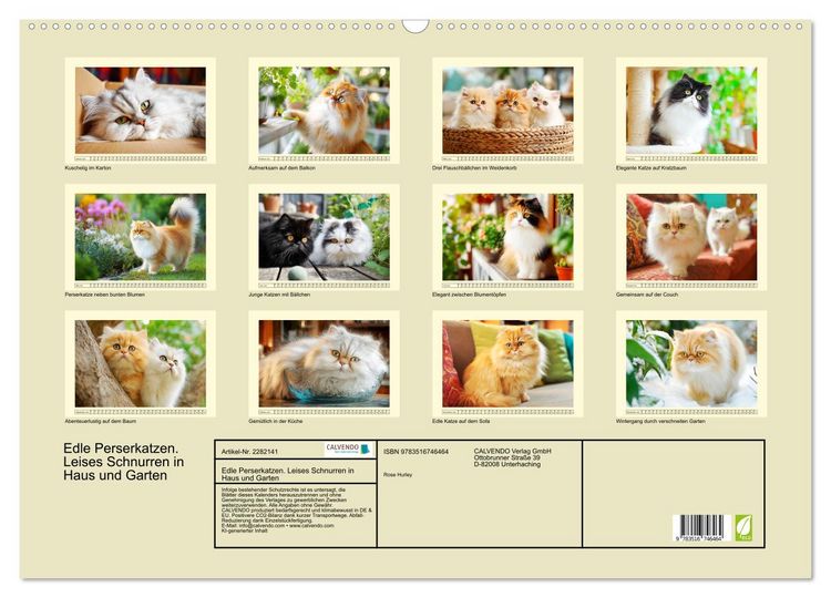 Produktbild: Edle Perserkatzen. Leises Schnurren in Haus und Garten (Wandkalender 2026 DIN A2 quer), CALVENDO Monatskalender