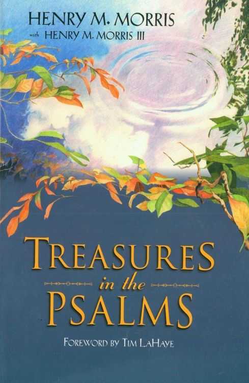 Produktbild: Treasures in the Psalms