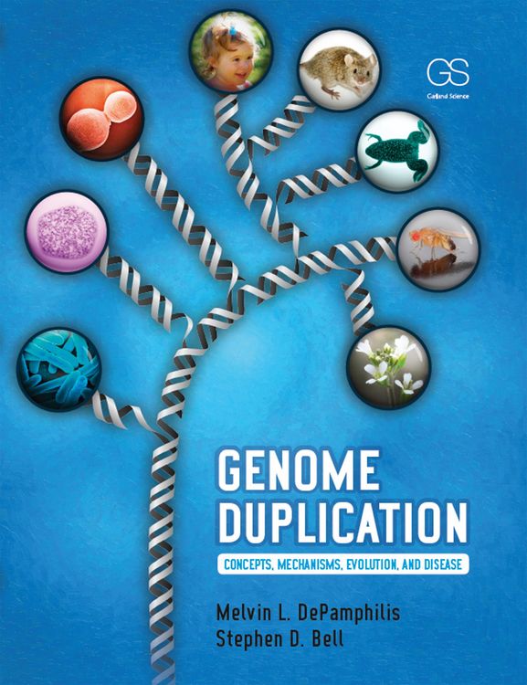 Produktbild: Genome Duplication