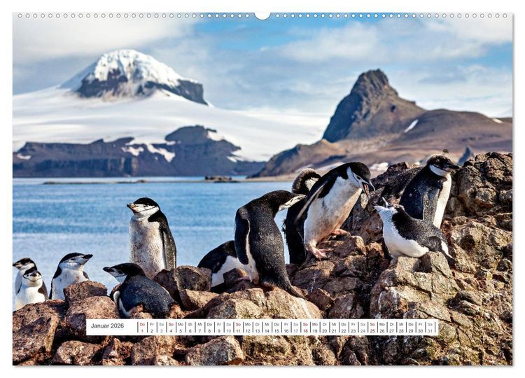 Produktbild: Expedition Antarktis (hochwertiger Premium Wandkalender 2026 DIN A2 quer), Kunstdruck in Hochglanz