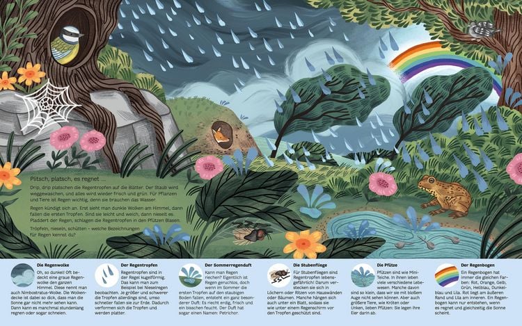 Produktbild: Kleine Geheimnisse der Natur - Regen, Wind und Sonnenschein