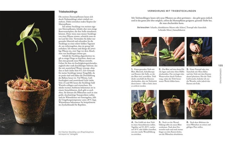 Produktbild: Urban Jungle Style
