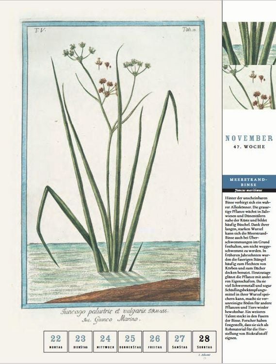 Produktbild: Thorbeckes K&uuml;ste-und-Meer-Kalender 2027