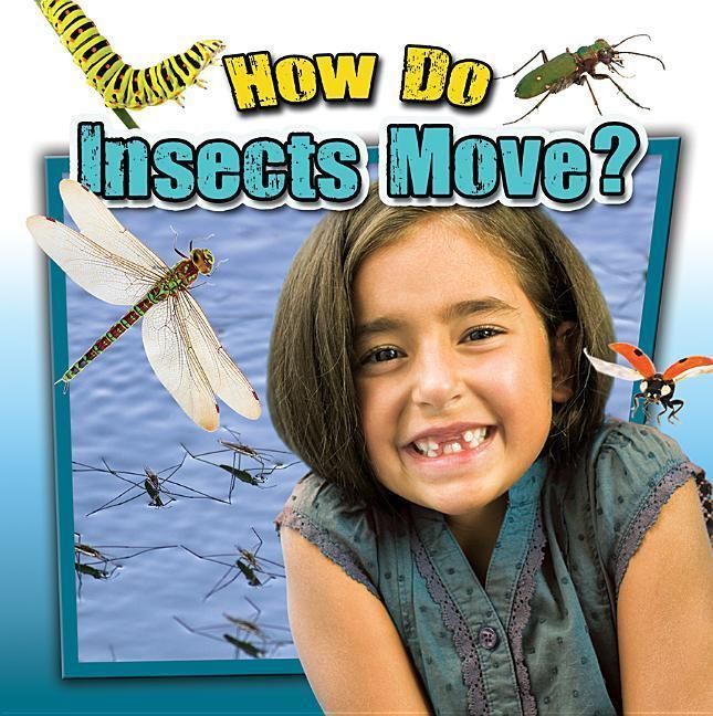 Produktbild: How Do Insects Move?