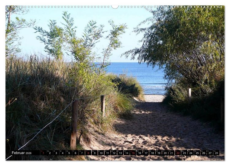 Produktbild: USEDOM - Seeb&auml;der und Naturparadies (Wandkalender 2026 DIN A2 quer), CALVENDO Monatskalender