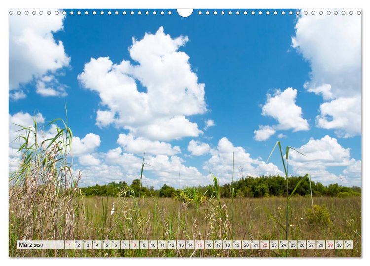 Produktbild: FLORIDA Paradiesischer Sonnenscheinstaat (Wandkalender 2026 DIN A3 quer), CALVENDO Monatskalender