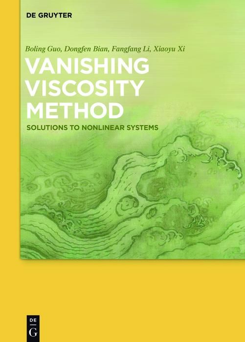 Produktbild: Vanishing Viscosity Method