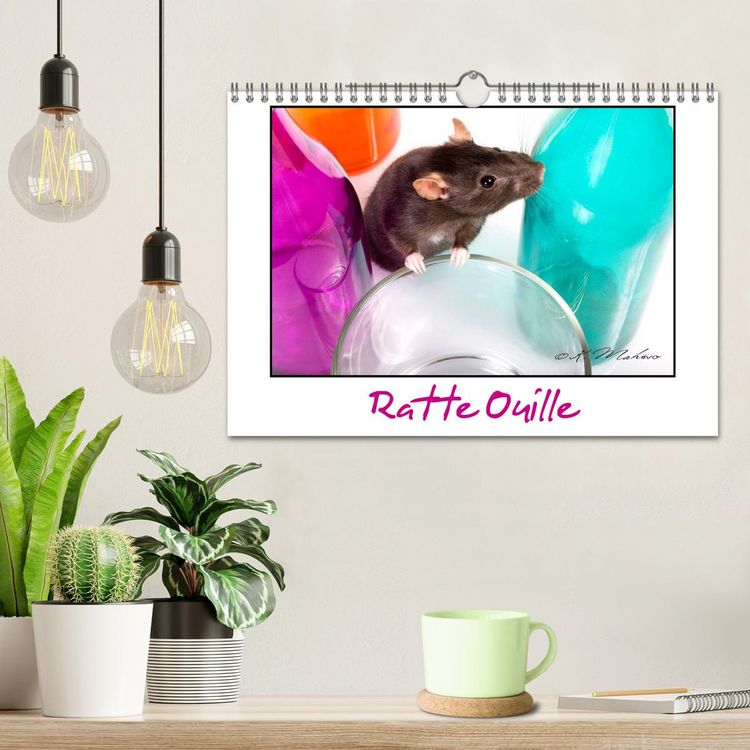 Produktbild: Ratte Ouille (Calendrier mural 2026 DIN A4 vertical), CALVENDO calendrier mensuel