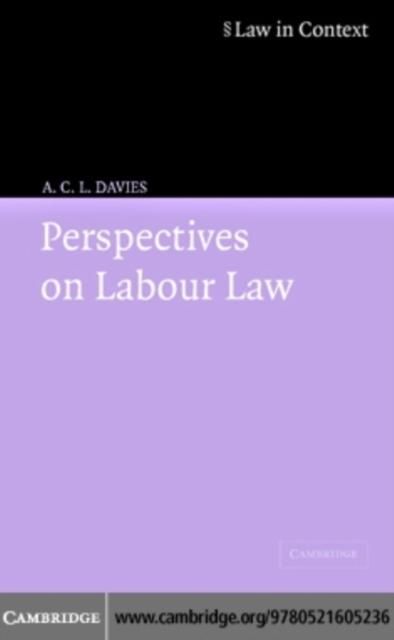 Produktbild: Perspectives on Labour Law
