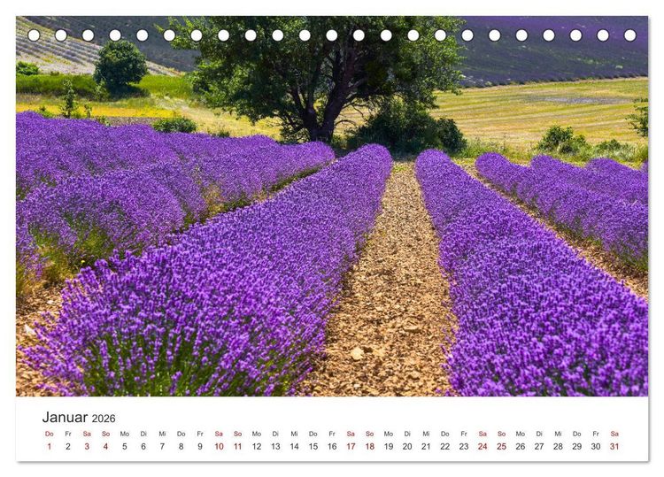 Produktbild: Tr&auml;ume aus Lavendel, Provence in Rosa bis Lila (Tischkalender 2026 DIN A5 quer), CALVENDO Monatskalender