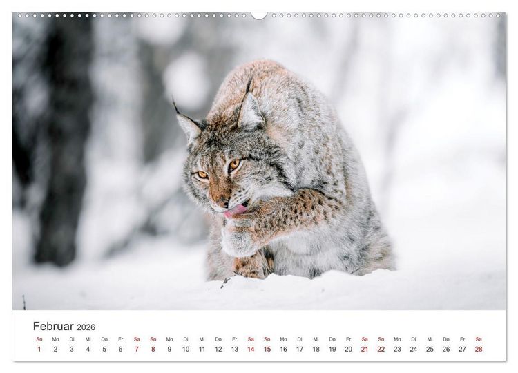 Produktbild: British Columbia - Faszination Kanada (Wandkalender 2026 DIN A2 quer), CALVENDO Monatskalender