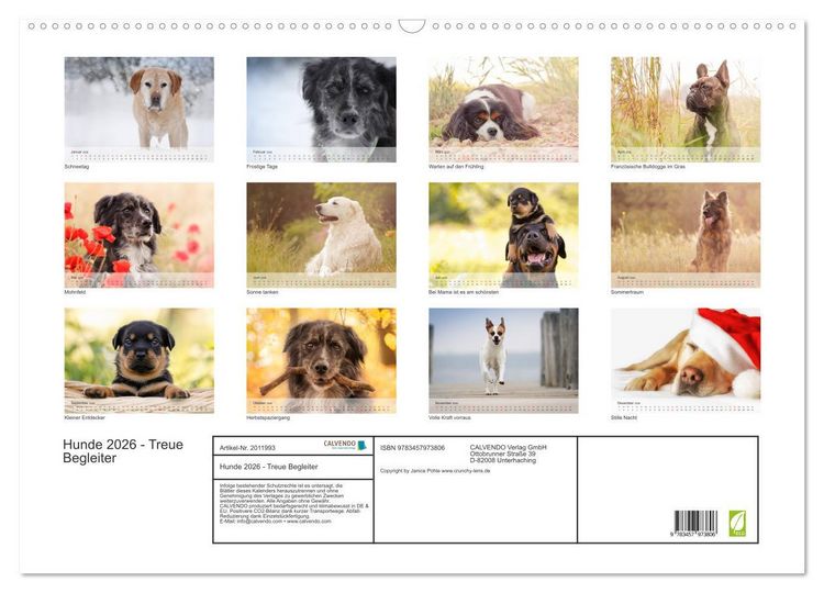 Produktbild: Hunde 2026 - Treue Begleiter (Wandkalender 2026 DIN A2 quer), CALVENDO Monatskalender