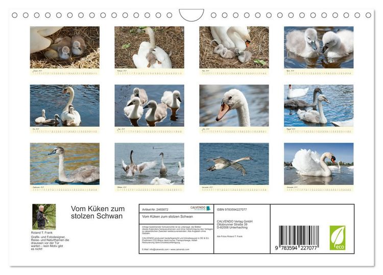 Produktbild: Vom K&uuml;ken zum stolzen Schwan (Wandkalender 2027 DIN A4 quer), CALVENDO Monatskalender