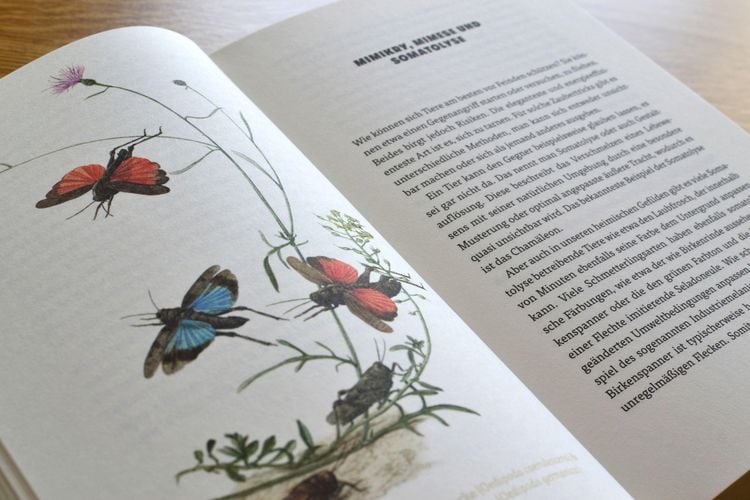 Produktbild: Mikroorgasmen &uuml;berall