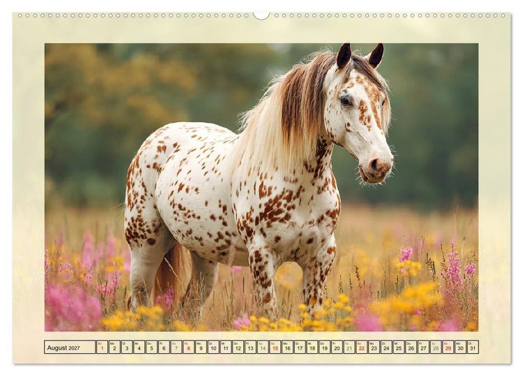 Produktbild: Knabstrupper Poesie. Gescheckte Eleganz im Farmsommer (Wandkalender 2027 DIN A2 quer), CALVENDO Monatskalender