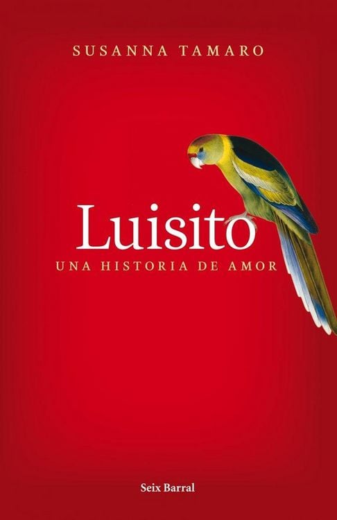 Produktbild: Luisito : una historia de amor