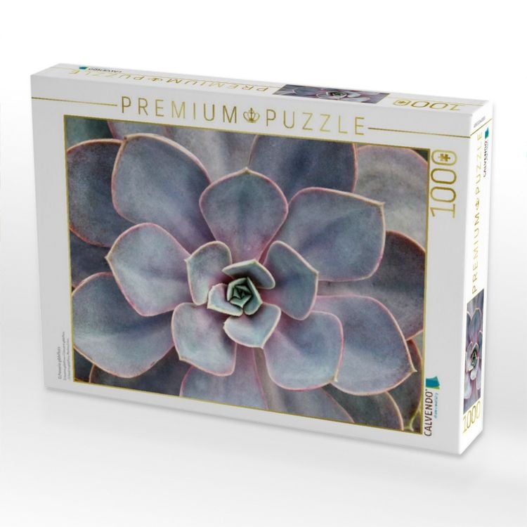Produktbild: CALVENDO Puzzle Echeveria gibbiflora | 1000 Teile Lege-Gr&ouml;&szlig;e 64x48cm Foto-Puzzle f&uuml;r gl&uuml;ckliche Stunden