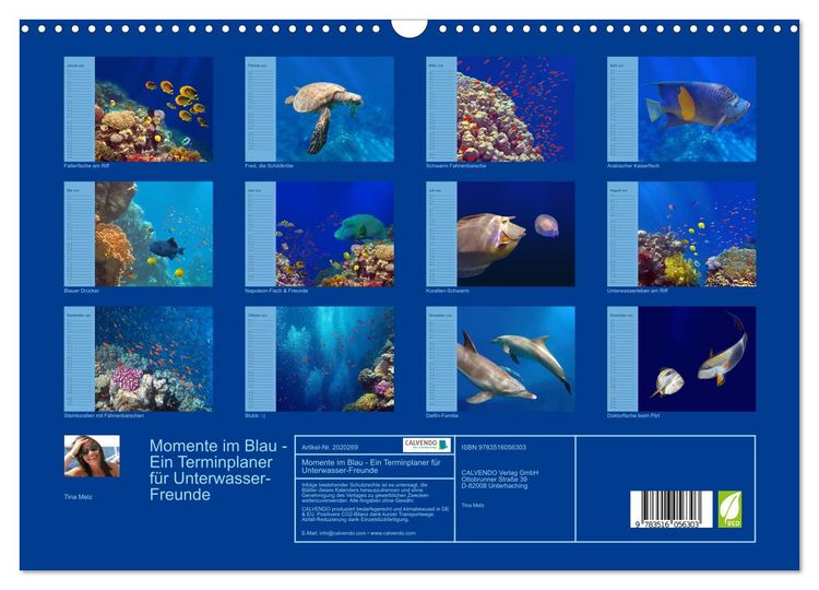 Produktbild: Momente im Blau - Ein Terminplaner f&uuml;r Unterwasser-Freunde (Wandkalender 2026 DIN A3 quer), CALVENDO Monatskalender