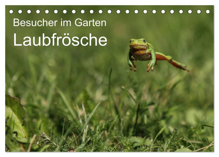 Produktbild: Besucher im Garten - Laubfr&ouml;sche (Tischkalender 2026 DIN A5 quer), CALVENDO Monatskalender