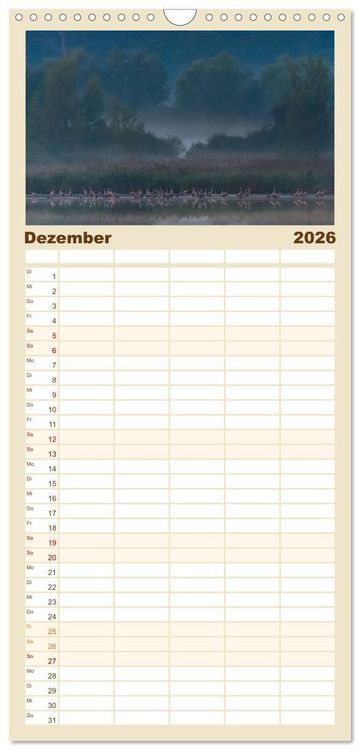 Produktbild: Familienplaner 2026 - Mit Kranichen durch das Jahr mit 5 Spalten (Wandkalender, 21 x 45 cm) CALVENDO