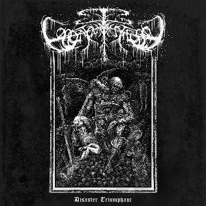 Produktbild: Disaster Triumphant (Digipak)