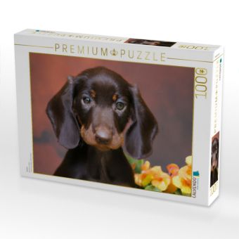 Produktbild: CALVENDO Puzzle Dackel | 1000 Teile Lege-Gr&ouml;&szlig;e 64x48cm Foto-Puzzle f&uuml;r gl&uuml;ckliche Stunden