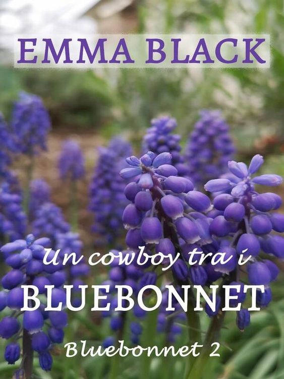 Produktbild: Un cowboy tra i Bluebonnet