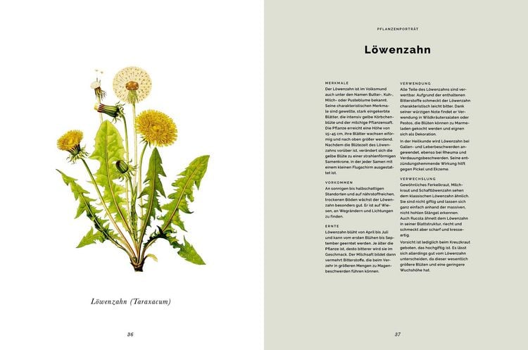Produktbild: Das Wald-Kochbuch