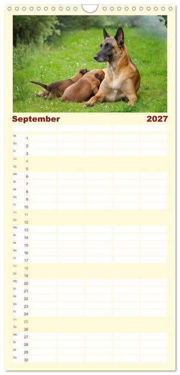 Produktbild: Familienplaner 2027 - Traumhund Malinois mit 5 Spalten (Wandkalender, 21 x 45 cm) CALVENDO