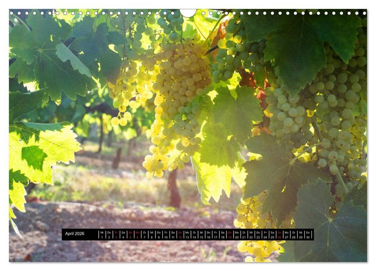 Produktbild: Cognac - pure Magie (Wandkalender 2026 DIN A3 quer), CALVENDO Monatskalender