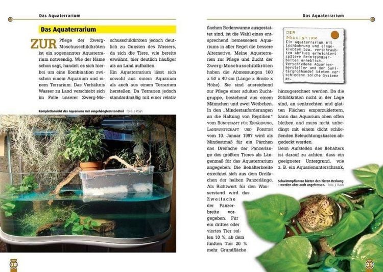 Produktbild: Die Zwerg-Moschusschildkr&ouml;te