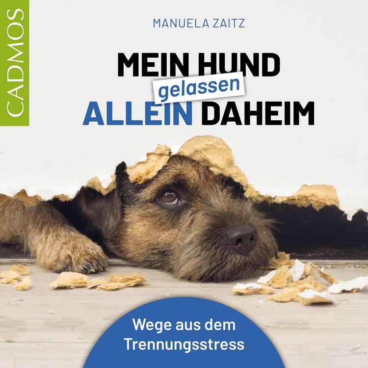 Produktbild: Mein Hund gelassen allein daheim