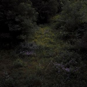 Produktbild: HIGHER LONELY POWER (Cloudy Black Vinyl)