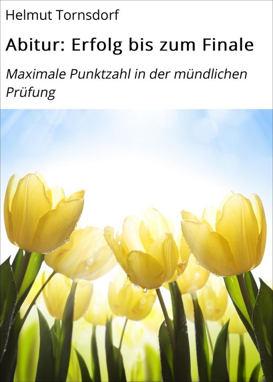 Produktbild: Abitur: Erfolg bis zum Finale