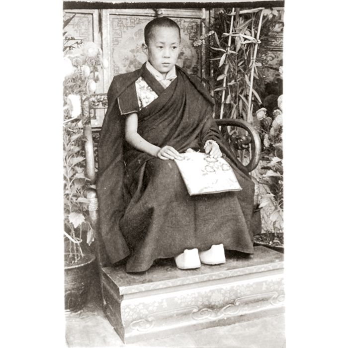 Produktbild: Dalai Lama