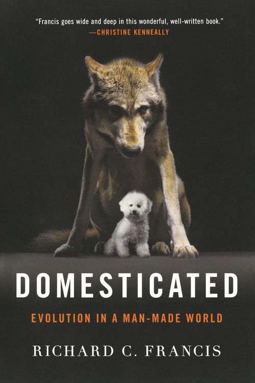 Produktbild: Domesticated