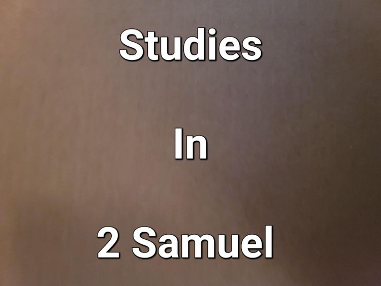 Produktbild: Stidies In 2 Samuel