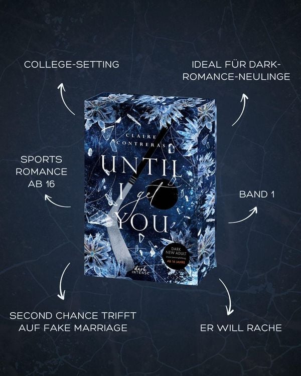 Produktbild: Until I Get You (Fairview Hockey, Band 1)