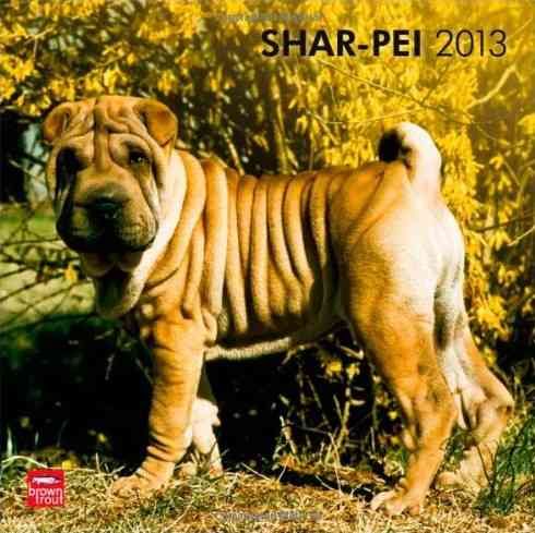 Produktbild: Shar Pei 2013
