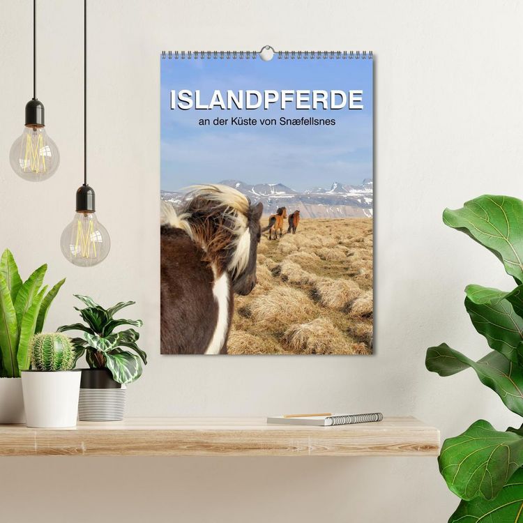 Produktbild: ISLANDPFERDE an der K&uuml;ste von Sn&aelig;fellsnes (Wandkalender 2026 DIN A3 hoch), CALVENDO Monatskalender