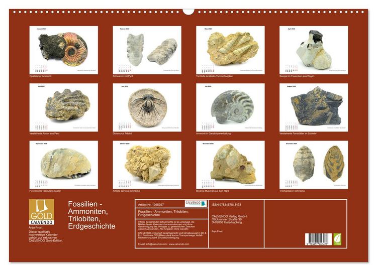 Produktbild: Fossilien - Ammoniten, Trilobiten, Erdgeschichte (Wandkalender 2026 DIN A2 quer), CALVENDO Monatskalender
