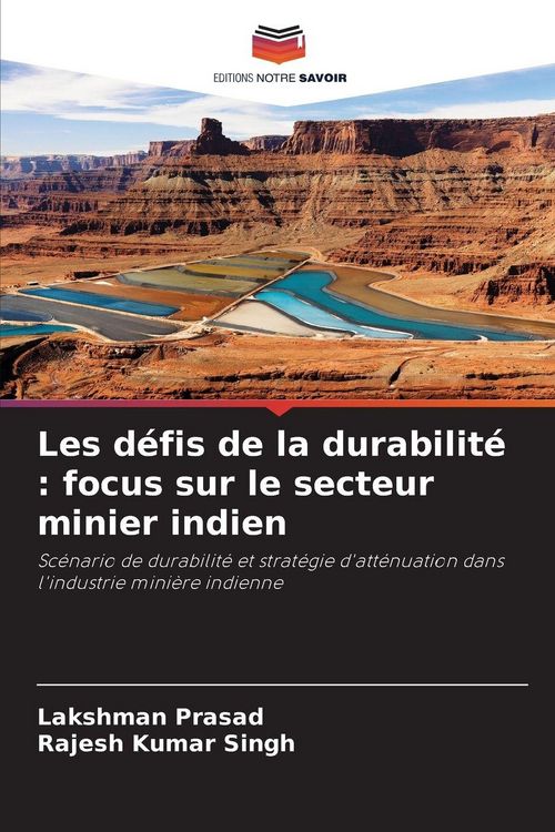 Produktbild: Les d&eacute;fis de la durabilit&eacute; : focus sur le secteur minier indien