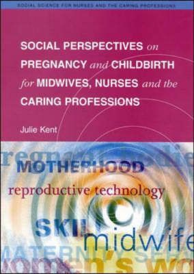 Produktbild: Social Perspectives On Pregnan