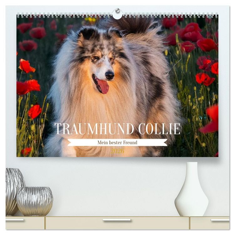 Produktbild: Traumhund Collie - Mein bester Freund (hochwertiger Premium Wandkalender 2026 DIN A2 quer), Kunstdruck in Hochglanz