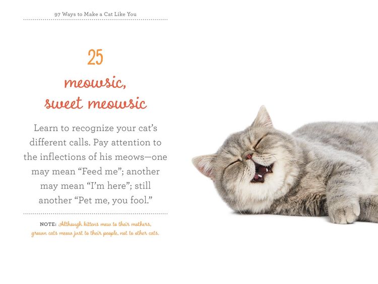 Produktbild: 97 Ways to Make a Cat Like You