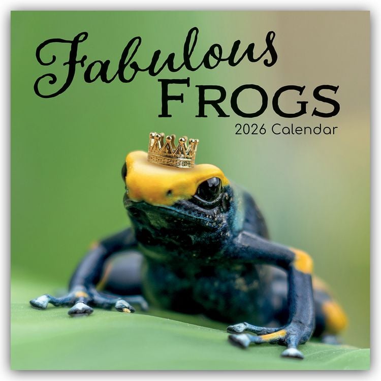 Produktbild: Fabulous Frogs – Fabelhafte Frösche 2026 – 16-Monatskalender