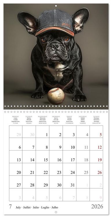 Produktbild: French Bulldogs (Wall Calendar 2026 12 &times; 12 Inch) CALVENDO 12 Month Wall Calendar