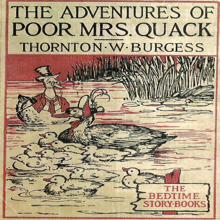 Produktbild: The Adventures of Poor Mrs. Quack