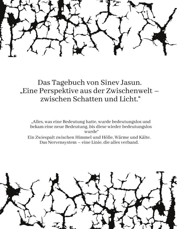 Produktbild: Das Tagebuch von Sinev Jasun. "Eine Perspektive aus der Zwischenwelt - zwischen Schatten und Licht."